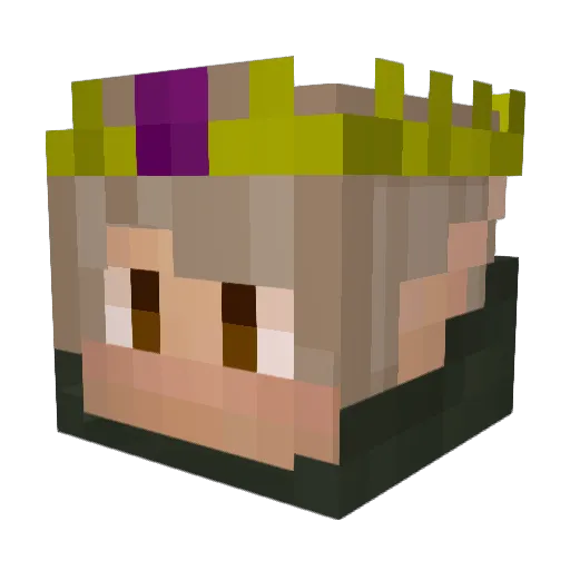 NikoGoldfinch Minecraft avatar head, 3D render