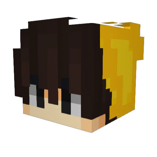 NikoStark25 Minecraft avatar head, 3D render