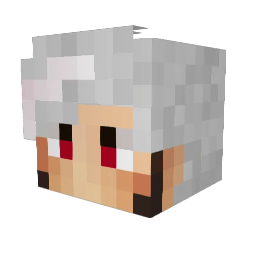 NikoVs1 Minecraft avatar head, 3D render
