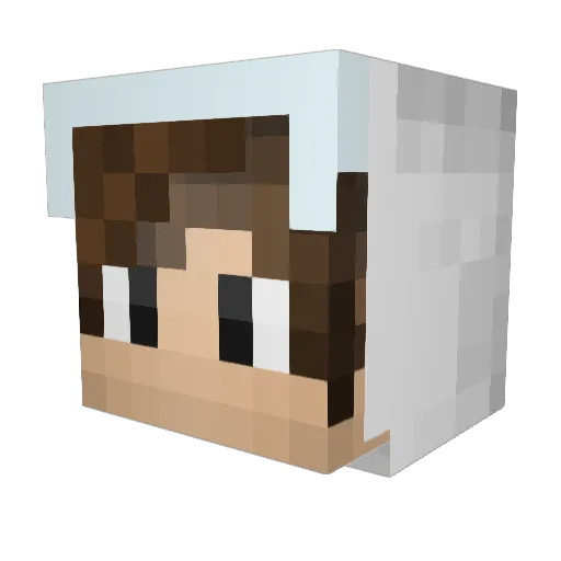 Niko_2006 Minecraft avatar head, 3D render