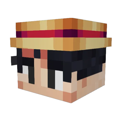 Niko_Playz Minecraft avatar head, 3D render