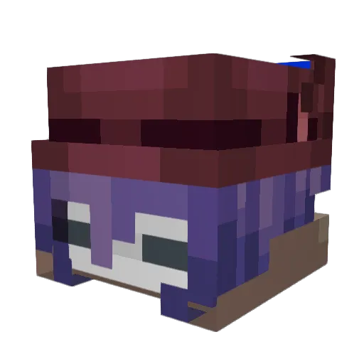 Niko_ioh Minecraft avatar head, 3D render
