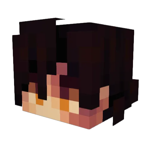 Nikola08 Minecraft avatar head, 3D render