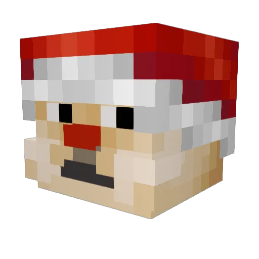 Nikola2012 Minecraft avatar head, 3D render