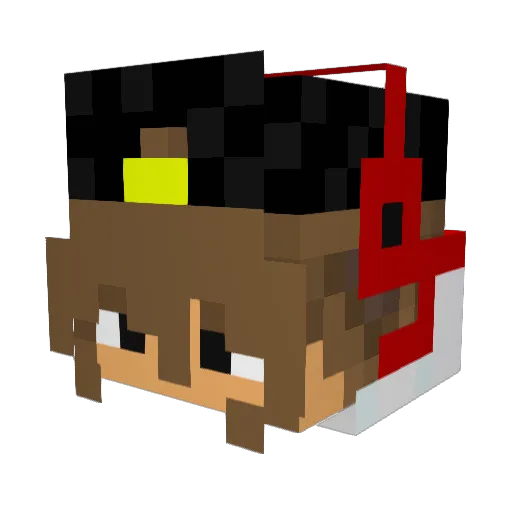 Nikola2289 Minecraft avatar head, 3D render