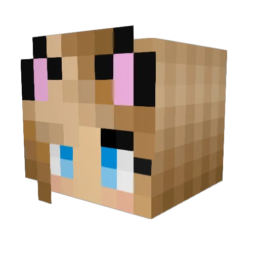 Nikola92 Minecraft avatar head, 3D render