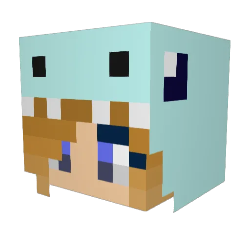 Nikola_unwinds Minecraft avatar head, 3D render