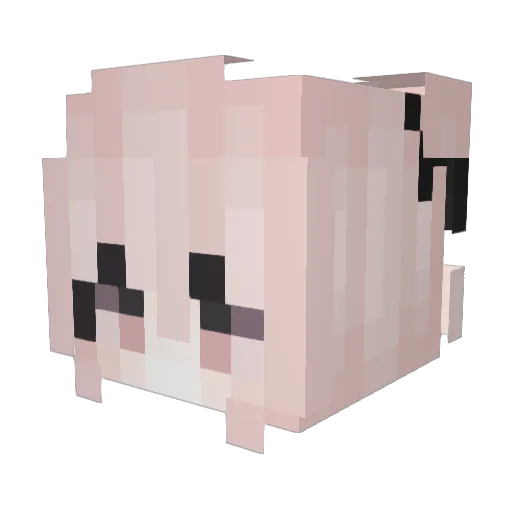 Nikolaj7627 Minecraft avatar head, 3D render