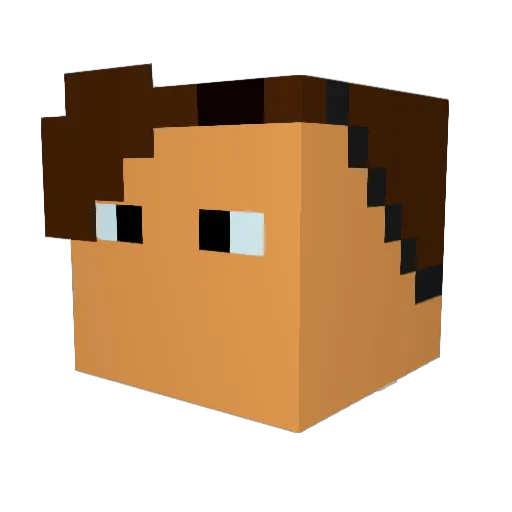 Nikolas148 Minecraft avatar head, 3D render