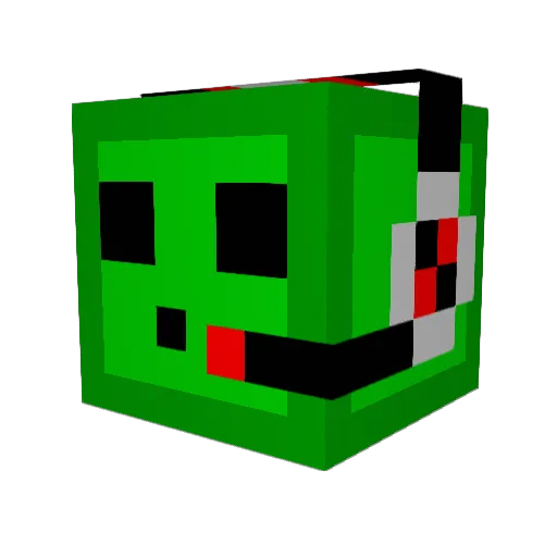 Nikolas_007 Minecraft avatar head, 3D render