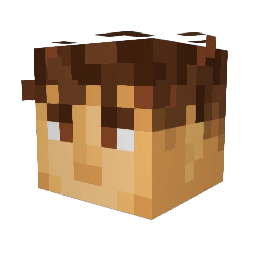 Nikolasito23 Minecraft avatar head, 3D render