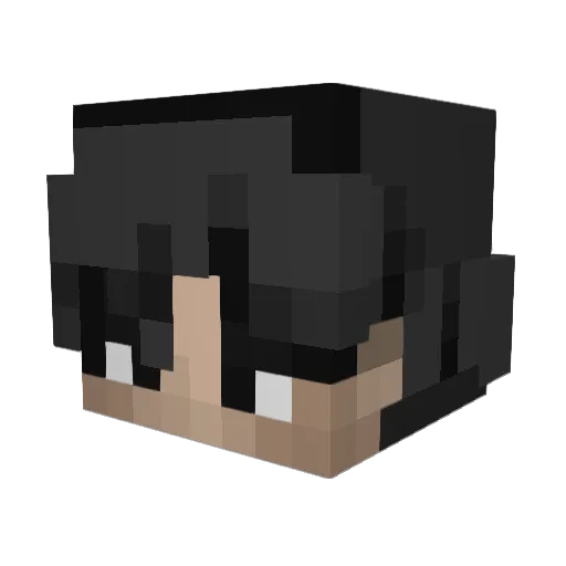 Nikolaysky Minecraft avatar head, 3D render