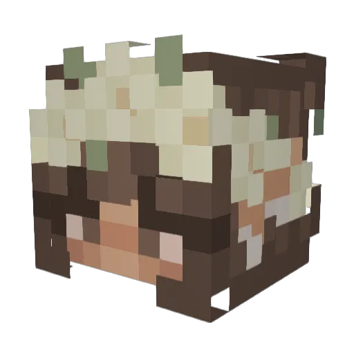 Nikolciaa Minecraft avatar head, 3D render
