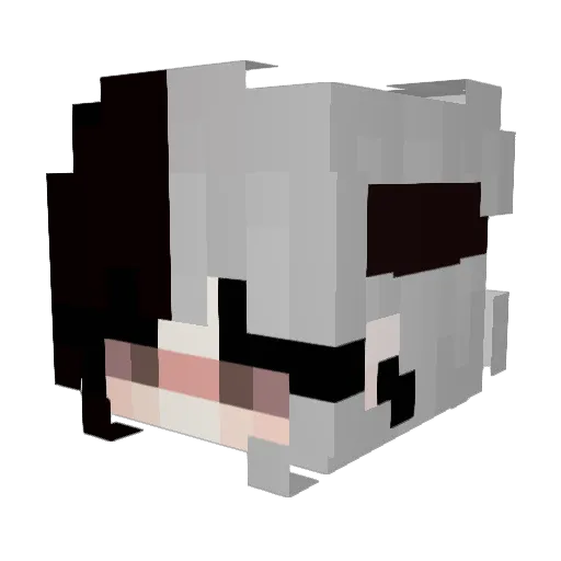 Nikolka211 Minecraft avatar head, 3D render