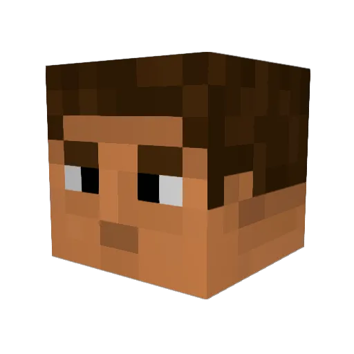 Nikollaps Minecraft avatar head, 3D render