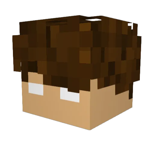 Nikolol1308 Minecraft avatar head, 3D render