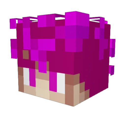 Nikoolay Minecraft avatar head, 3D render