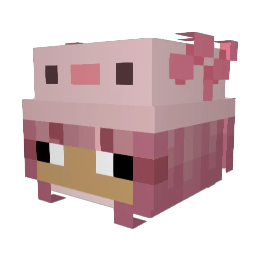 Nikooter Minecraft avatar head, 3D render