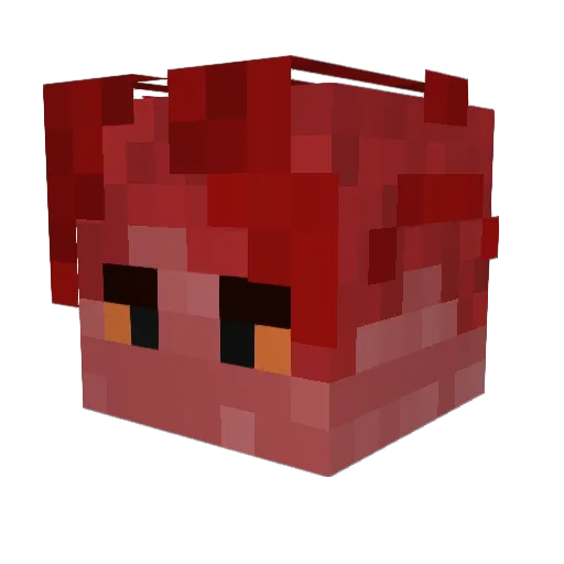 Nikotacat Minecraft avatar head, 3D render