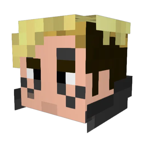 Nikoxi2 Minecraft avatar head, 3D render