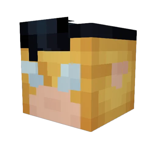 Nikplay_ Minecraft avatar head, 3D render