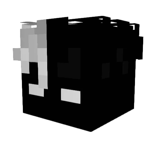 Nikplayer21 Minecraft avatar head, 3D render