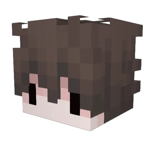 Nikqe_ Minecraft avatar head, 3D render