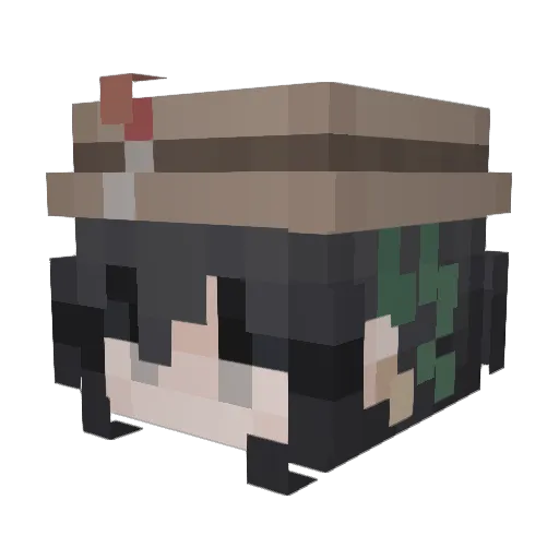 Niktaloupe Minecraft avatar head, 3D render