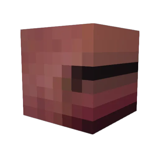 Nikto123 Minecraft avatar head, 3D render
