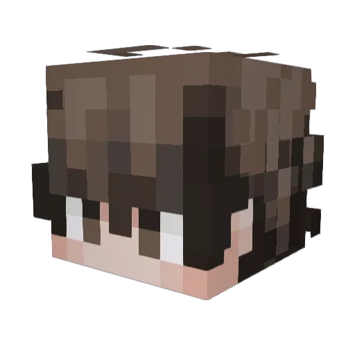 Nikus_44 Minecraft avatar head, 3D render