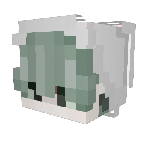 NikushaDed Minecraft avatar head, 3D render