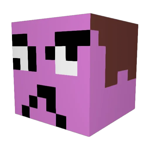 Nikx29 Minecraft avatar head, 3D render