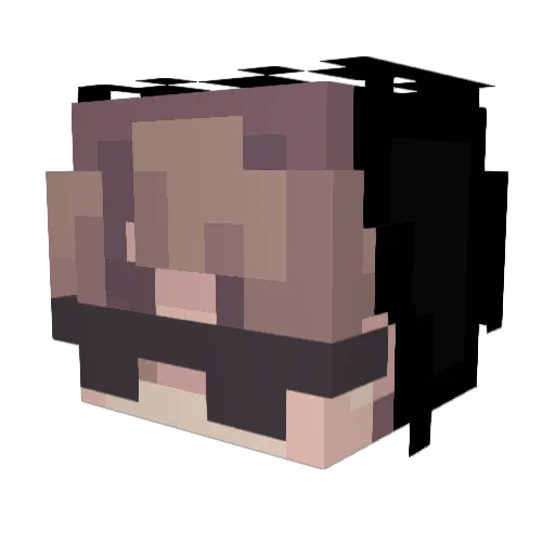 Niky005 Minecraft avatar head, 3D render