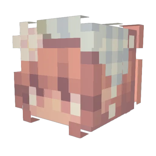 Niky_96 Minecraft avatar head, 3D render