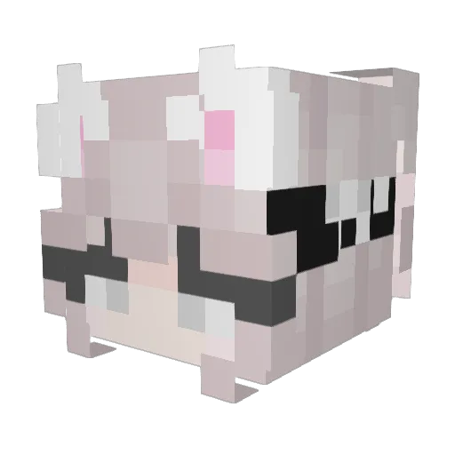 Nikyfoker Minecraft avatar head, 3D render