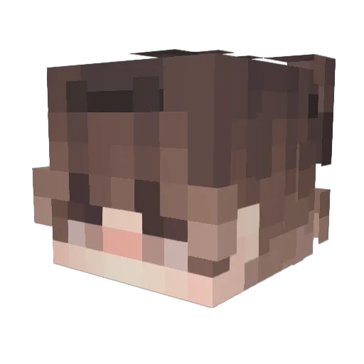 Nikyx Minecraft avatar head, 3D render