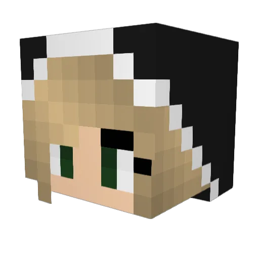 Nil05 Minecraft avatar head, 3D render