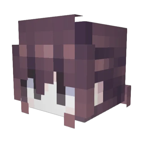 Nilage_ Minecraft avatar head, 3D render