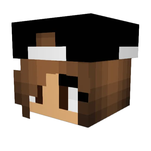 NilahRocks12244 Minecraft avatar head, 3D render