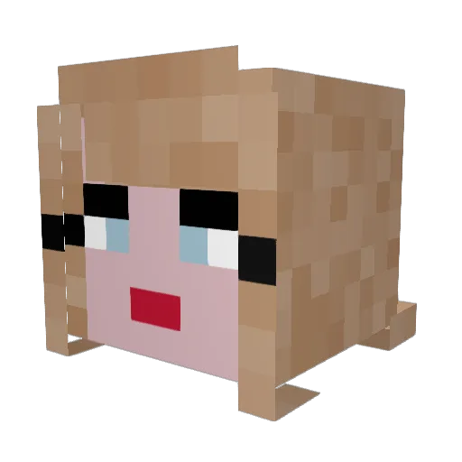 Nile533 Minecraft avatar head, 3D render
