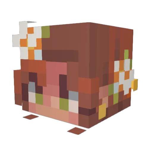 Nileeon Minecraft avatar head, 3D render