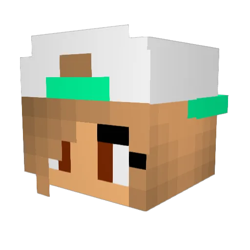 Niles10 Minecraft avatar head, 3D render