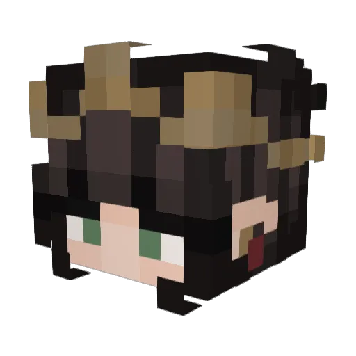 Nilexan Minecraft avatar head, 3D render