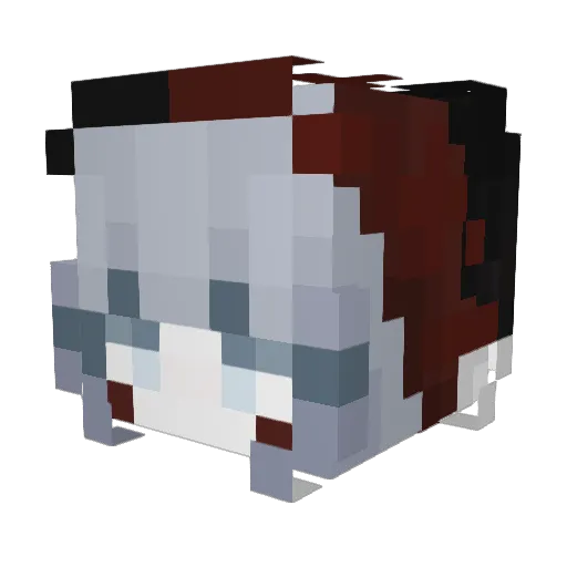 Nill_00 Minecraft avatar head, 3D render
