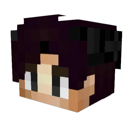 Nill_th Minecraft avatar head, 3D render