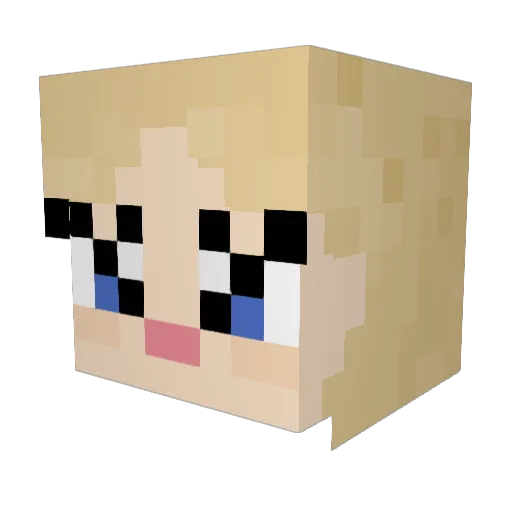 Nillapilla Minecraft avatar head, 3D render