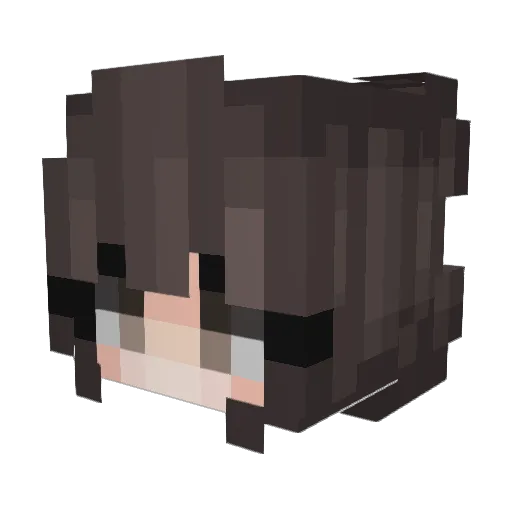 Nilllll Minecraft avatar head, 3D render