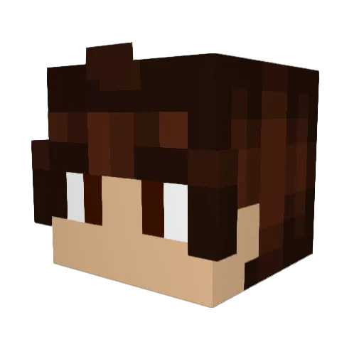 Nilloo Minecraft avatar head, 3D render