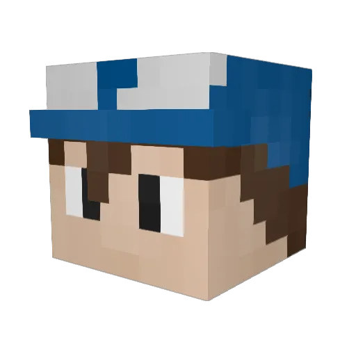 Nillrr Minecraft avatar head, 3D render