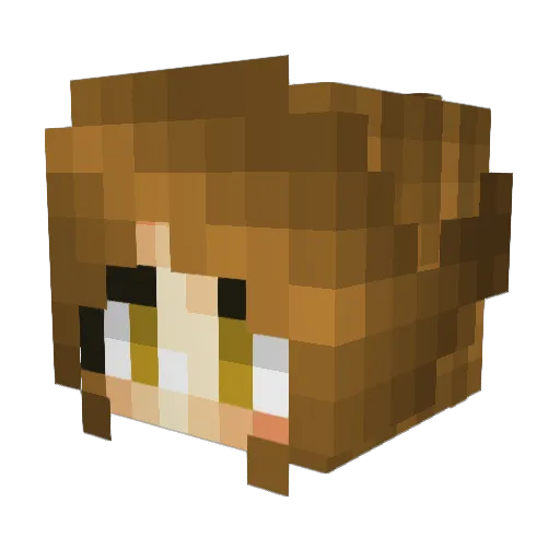 Nilnora Minecraft avatar head, 3D render